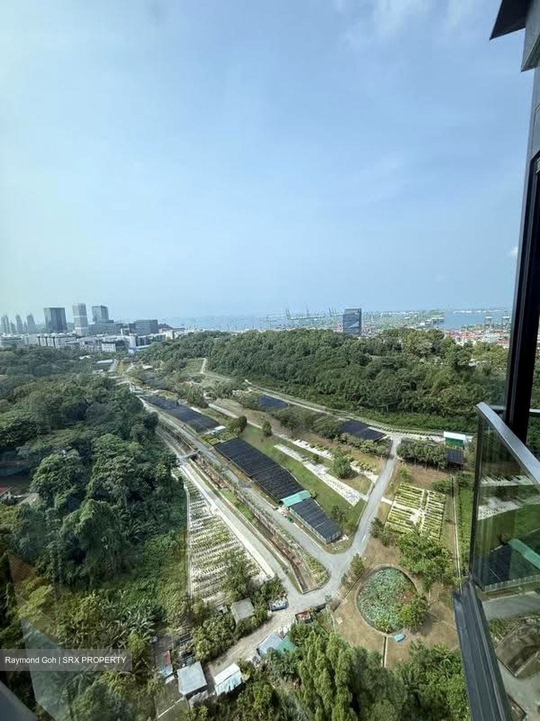 Normanton Park (D5), Apartment #612065851